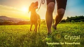  Presentation with field - Presentation design with silhouettes-of-runner-and-dog background and a tawny brown colored foreground