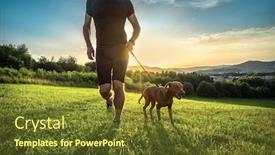  Presentation with running women shoes silhouette - Beautiful PPT theme featuring silhouettes-of-runner-and-dog backdrop and a tawny brown colored foreground