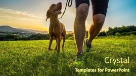  Presentation with field - PPT layouts featuring silhouettes-of-runner-and-dog background and a tawny brown colored foreground