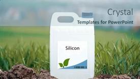  Presentation with cell wall - PPT theme having silicon-a-beneficial-nutrient background and a light blue colored foreground