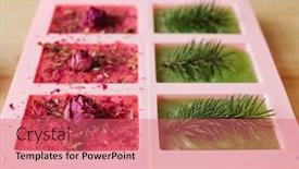  Presentation with molds - Presentation theme enhanced with silicone molds filled with handmade soap of pink and green colors scented by conifer and floral ingredients background and a coral colored foreground