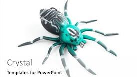  Presentation with spider - Presentation design enhanced with silicone-spider-top-water-bait background and a white colored foreground