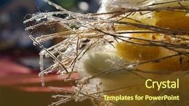  Presentation with silk - Cool new presentation theme with silk cocoons on branches backdrop and a tawny brown colored foreground