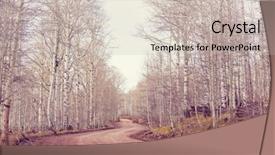  Presentation with living coral - Beautiful PPT theme featuring silk road - early spring in the forest backdrop and a soft green colored foreground