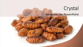  Presentation with chrysalis - Beautiful PPT theme featuring asia mania - frieds chrysalis isolated on white backdrop and a lemonade colored foreground