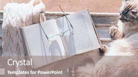  Presentation with book glasses - PPT theme having sill by opened book glasses background and a gray colored foreground