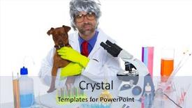  Presentation with veterinary laboratory - Colorful slide set enhanced with silly veterinary man with dog backdrop and a light blue colored foreground