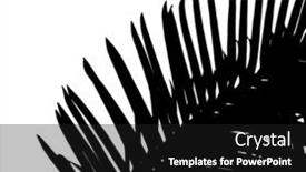  Presentation with leaves - Audience pleasing theme consisting of silouette-of-beautiful-palms-leaves backdrop and a black colored foreground