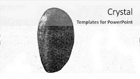  Presentation with humanity - Audience pleasing PPT theme consisting of siluriano - orthis elegantula silurian brachiopod vintage backdrop and a light gray colored foreground