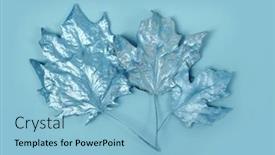  Presentation with autumn blue - PPT layouts having silver-and-blue-autumn-leaf background and a light blue colored foreground