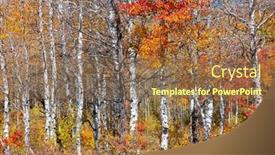  Presentation with fall mountains - Slide deck with silver-birch-trees-with-colorful background and a coral colored foreground