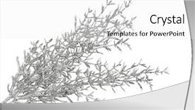  Presentation with branch - Beautiful presentation theme featuring silver christmas - decorative branch isolated on white backdrop and a white colored foreground