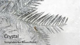  Presentation with snow tree - Cool new presentation theme with silver christmas tree on snow backdrop and a  colored foreground