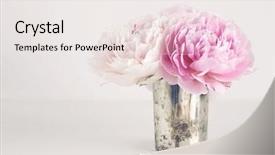  Presentation with pastel pink - Amazing PPT theme having silvery - romantic still with a small backdrop and a sky blue colored foreground