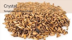  Presentation with milk thistle - Slide set featuring silybum marianum - milk thistle seed background and a yellow colored foreground