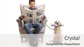  Presentation with generic seated cricket stadium - Slide deck enhanced with young man seated in an armchair reading a newspaper and a labrador retriever with a newspaper isolated on white background background and a light gray colored foreground