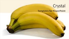  Presentation with green bananas hanging on banana - Colorful PPT theme enhanced with similar photos in my portfolio backdrop and a  colored foreground