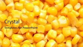  Presentation with sweet corn - Cool new slide set with similar photos in my portfolio backdrop and a gold colored foreground