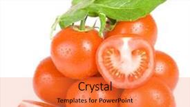  Presentation with isolated paw prints over white - Slide deck having simple bachground light colour agticulture - cherry tomatoes isolated over white background and a  colored foreground