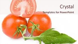  Presentation with cherry - Audience pleasing PPT theme consisting of simple bachground light colour agticulture - cherry tomatoes isolated over white backdrop and a  colored foreground