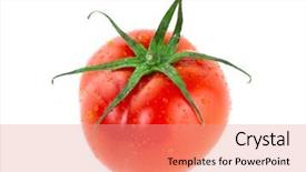  Presentation with mango juice fresh tropical fruit - Colorful theme enhanced with simple bachground light colour agticulture - fresh juicy tomatoes isolated backdrop and a  colored foreground