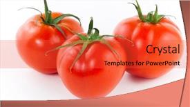  Presentation with fresh water splash green apple isolated white - PPT theme having simple bachground light colour agticulture - fresh juicy tomatoes isolated background and a  colored foreground
