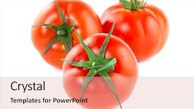  Presentation with fresh coconut juice decorated tropical - Audience pleasing slides consisting of simple bachground light colour agticulture - fresh juicy tomatoes isolated backdrop and a  colored foreground