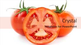  Presentation with tomato ketchup single red - Amazing theme having simple bachground light colour agticulture - fresh red tomatoes isolated backdrop and a coral colored foreground