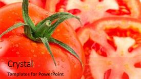  Presentation with tomato ketchup single red - PPT layouts consisting of simple bachground light colour agticulture - fresh red tomatoes isolated background and a red colored foreground