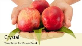  Presentation with hand holding colorful brain sketch - Audience pleasing PPT theme consisting of simple bachground light colour agticulture - hands holding three colorful juicy backdrop and a  colored foreground