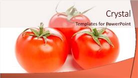  Presentation with plantation tomatoes - Theme consisting of simple bachground light colour agticulture - isolated tomatoes background and a  colored foreground
