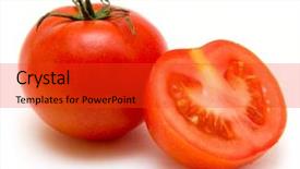  Presentation with plantation tomatoes - Amazing PPT layouts having simple bachground light colour agticulture - tomatoes backdrop and a red colored foreground