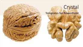  Presentation with walnut - Cool new presentation with walnut on white background isolated backdrop and a lemonade colored foreground