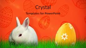  Presentation with rabbit - Colorful presentation design enhanced with simple graphics - rabbit against white background backdrop and a red colored foreground