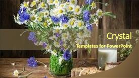  Presentation with blue flower bulb field - Cool new presentation theme with simple herbal - bouquet of field flowers glass backdrop and a tawny brown colored foreground