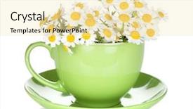  Presentation with simple green - PPT layouts having simple herbal - green tea cup with camomiles background and a blonde colored foreground