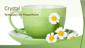  Presentation with simple green - PPT theme featuring simple herbal - green tea cup with camomiles background and a soft green colored foreground