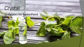  Presentation with herbal - Presentation featuring simple herbal - perfume bottles and fresh mint background and a lemonade colored foreground