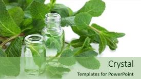  Presentation with herbal - Colorful slide deck enhanced with simple herbal - perfume bottles and fresh mint backdrop and a seafoam green colored foreground