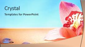  Presentation with spa - Amazing PPT theme having simple herbal - spa still life backdrop and a  colored foreground