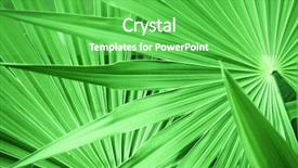  Presentation with simple green - Audience pleasing slide set consisting of simple herbal - texture of a green leaf backdrop and a  colored foreground