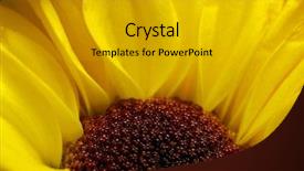  Presentation with flower - PPT theme with simple herbal - yellow flower macro background and a light gray colored foreground