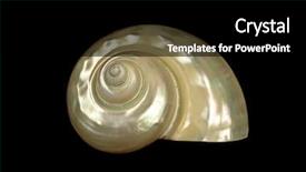  Presentation with black pearl - Slide deck enhanced with simple mathematics - pearl shell on a black background and a black colored foreground