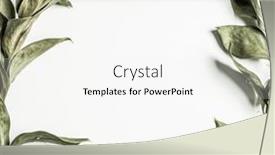  Presentation with minimalistic - Amazing slide set having simple-minimalistic-frame-of-green backdrop and a white colored foreground