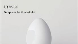  Presentation with simple - Slide set featuring simple-single-white-chicken-egg background and a light gray colored foreground
