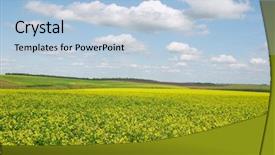  Presentation with yellow big tube - Amazing presentation theme having simple skyblue - clouds over yellow field backdrop and a light blue colored foreground