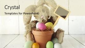  Presentation with easter bunny yellow spring flower - Beautiful presentation theme featuring simple themes - adorable easter bunny themed holiday backdrop and a  colored foreground