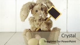 Presentation with easter bunny yellow spring flower - Presentation theme consisting of simple themes - adorable easter bunny themed holiday background and a  colored foreground