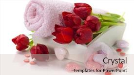  Presentation with theme - Theme having simple themes - bath and spa valentine theme background and a soft green colored foreground