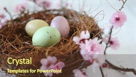  Presentation with horticulture spring easter - Presentation theme with simple themes - spring easter holiday themed still background and a  colored foreground